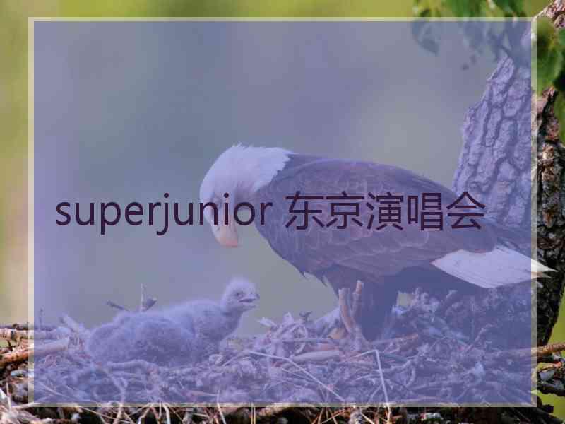 superjunior 东京演唱会