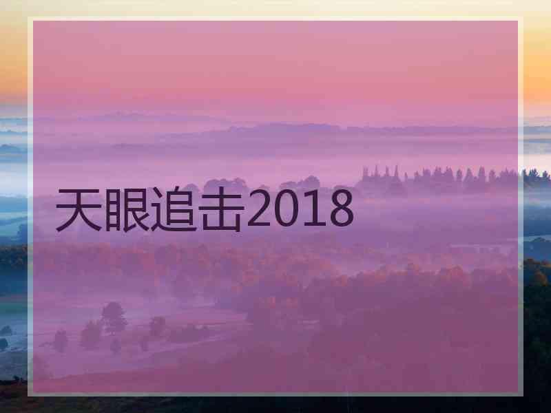 天眼追击2018