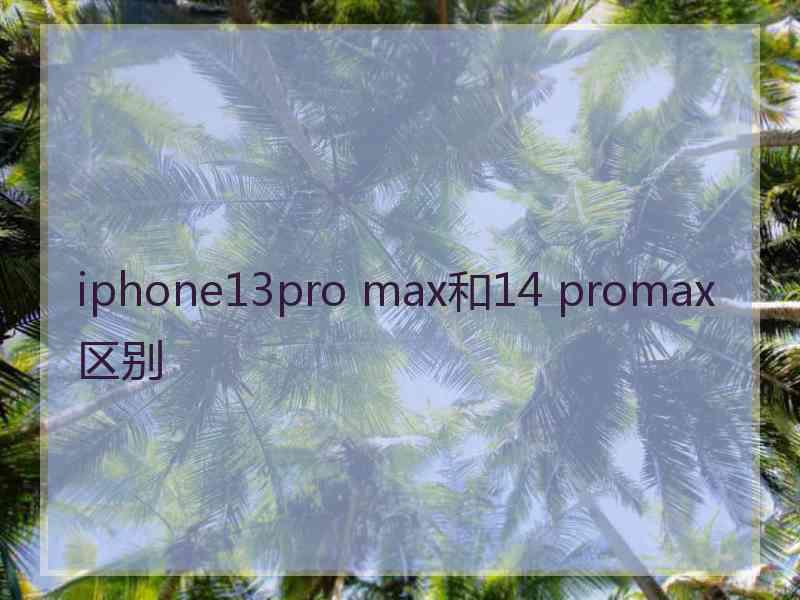 iphone13pro max和14 promax区别