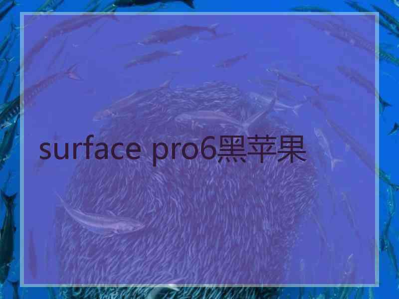 surface pro6黑苹果