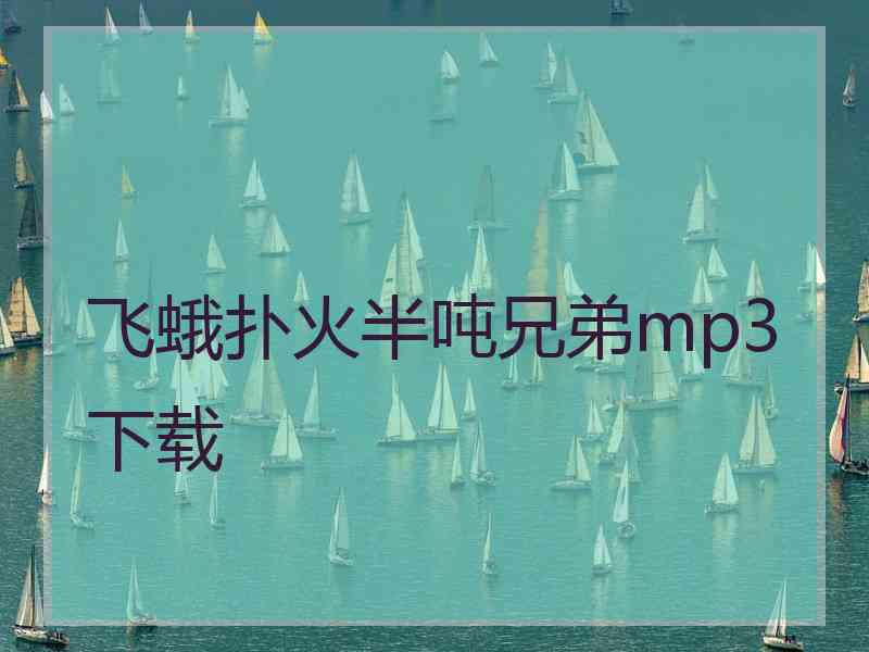 飞蛾扑火半吨兄弟mp3下载