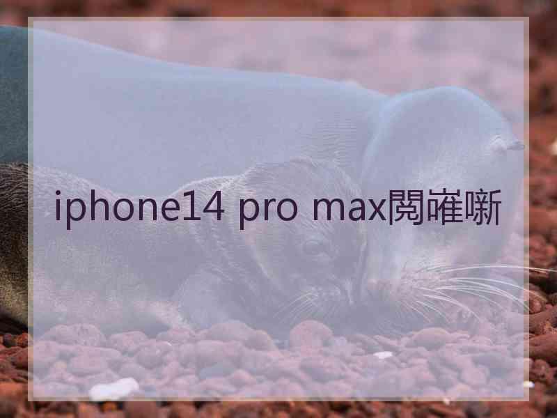 iphone14 pro max閲嶉噺