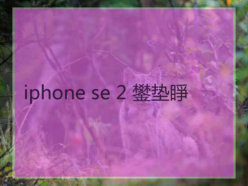 iphone se 2 鐢垫睜