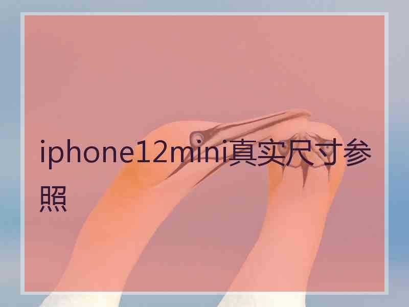 iphone12mini真实尺寸参照