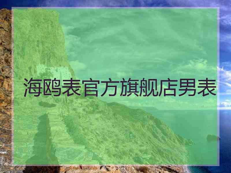 海鸥表官方旗舰店男表