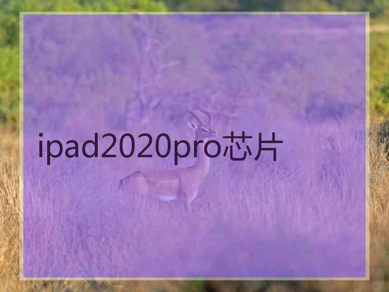 ipad2020pro芯片