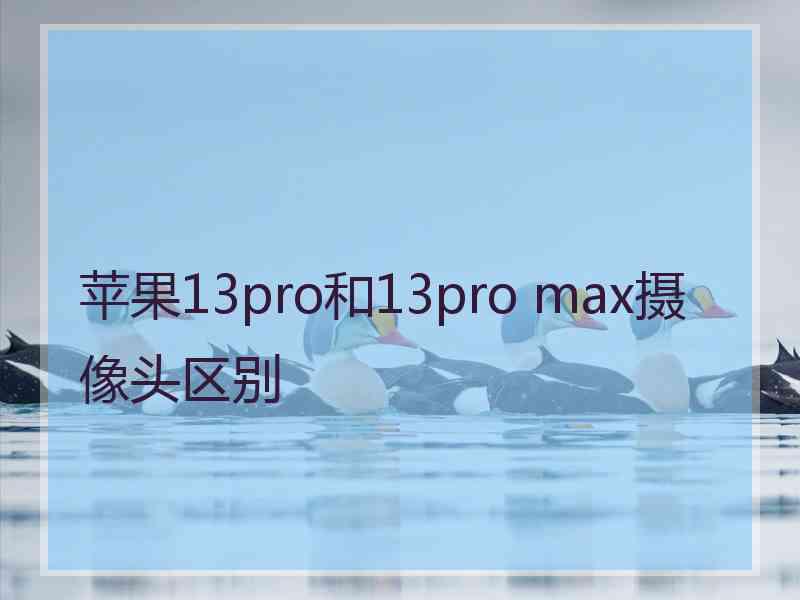 苹果13pro和13pro max摄像头区别