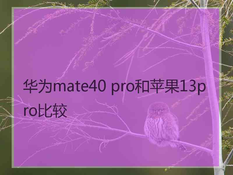 华为mate40 pro和苹果13pro比较