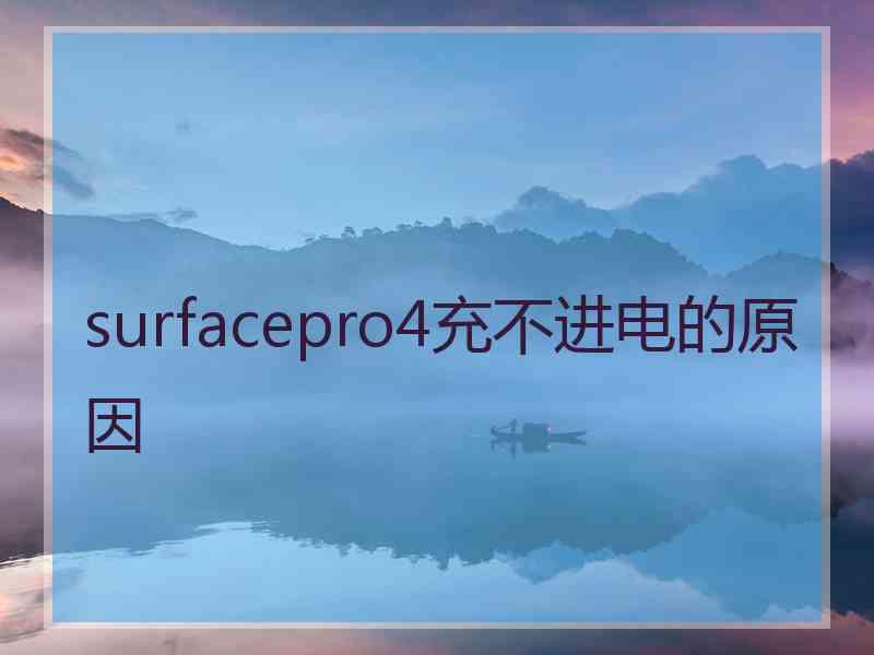 surfacepro4充不进电的原因