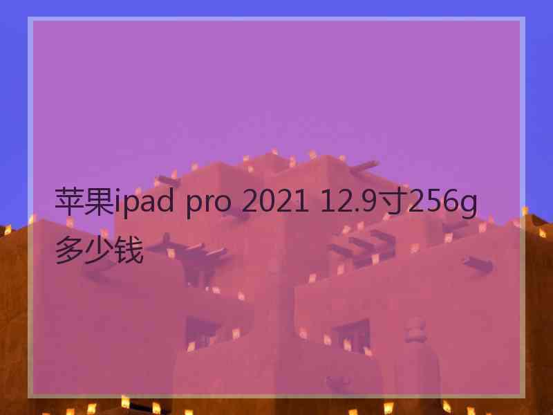 苹果ipad pro 2021 12.9寸256g多少钱