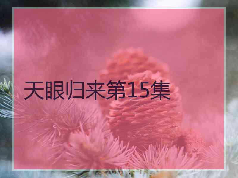 天眼归来第15集