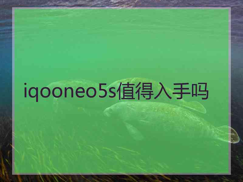 iqooneo5s值得入手吗