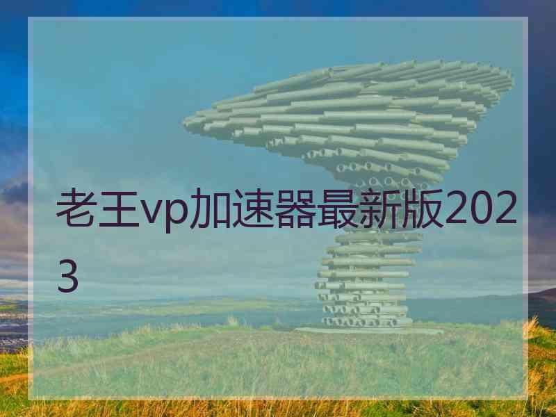 老王vp加速器最新版2023