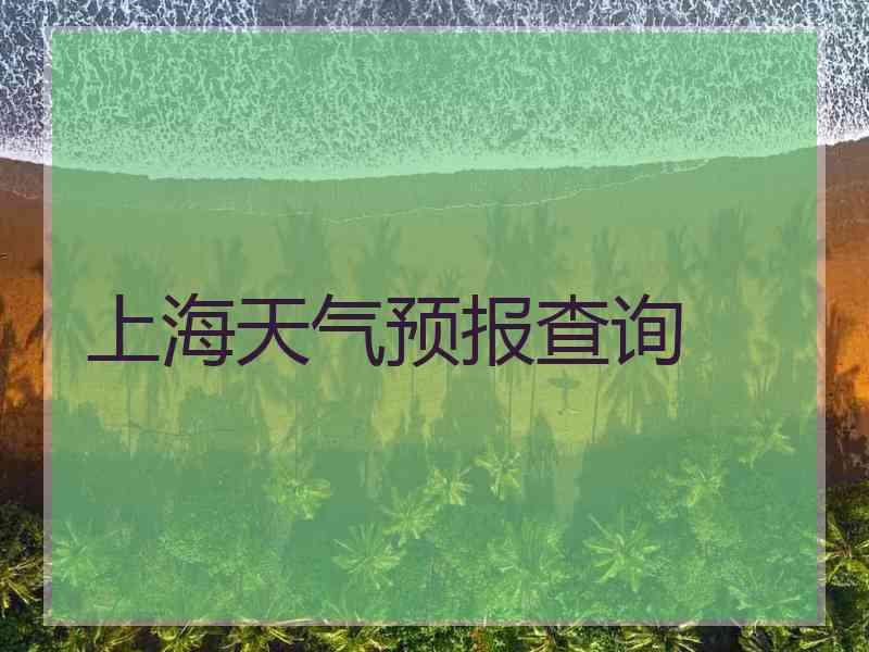 上海天气预报查询