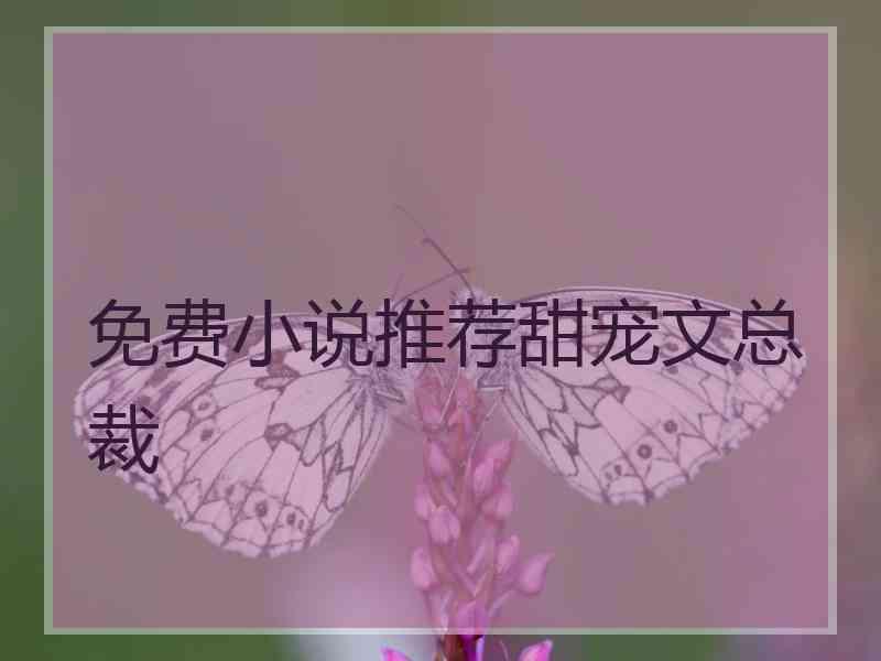 免费小说推荐甜宠文总裁