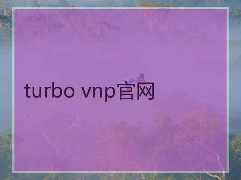 turbo vnp官网