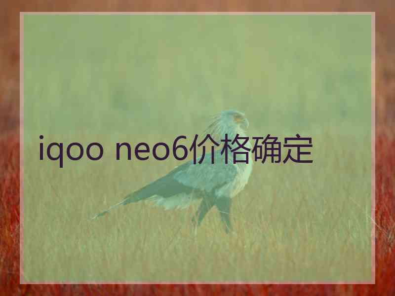 iqoo neo6价格确定