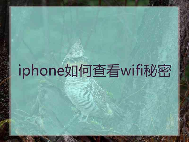 iphone如何查看wifi秘密