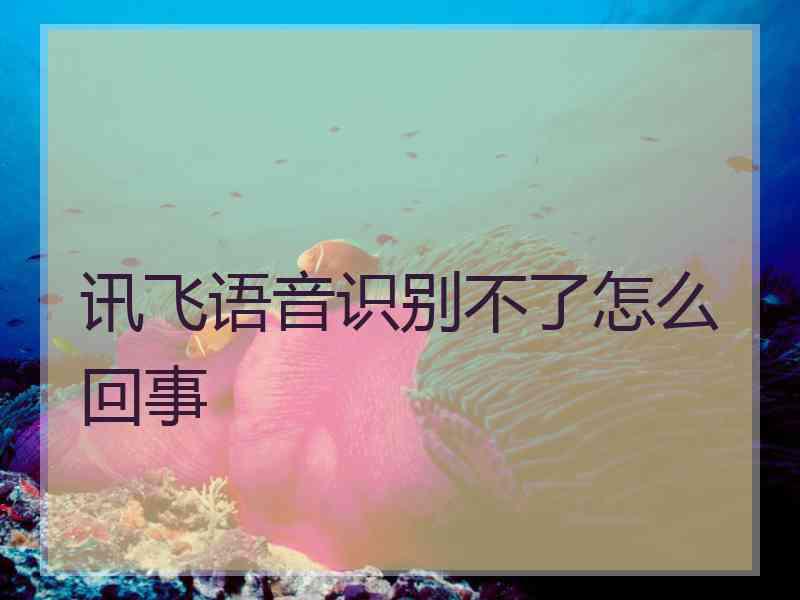 讯飞语音识别不了怎么回事