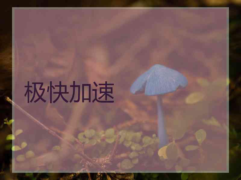 极快加速