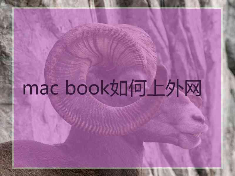 mac book如何上外网