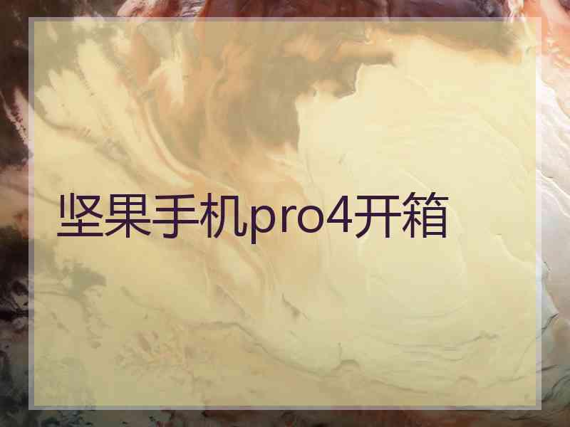 坚果手机pro4开箱