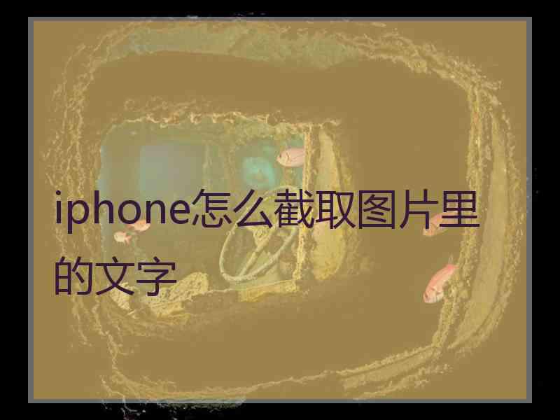 iphone怎么截取图片里的文字