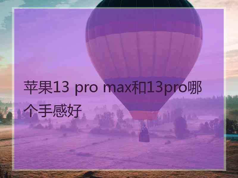 苹果13 pro max和13pro哪个手感好