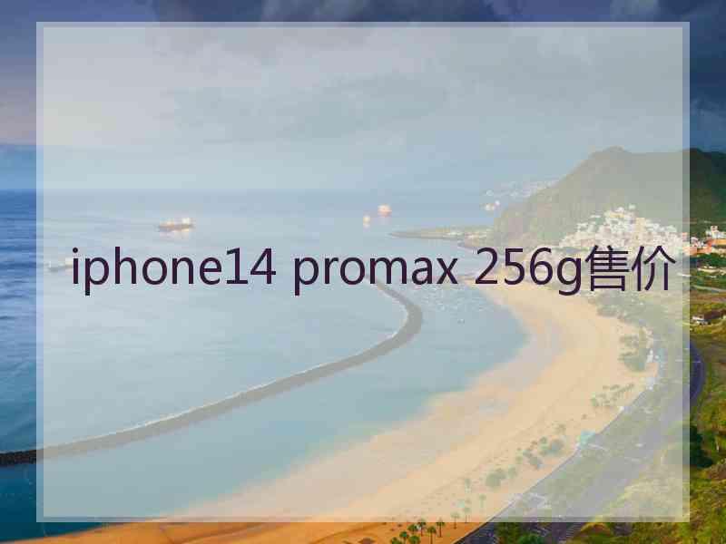 iphone14 promax 256g售价