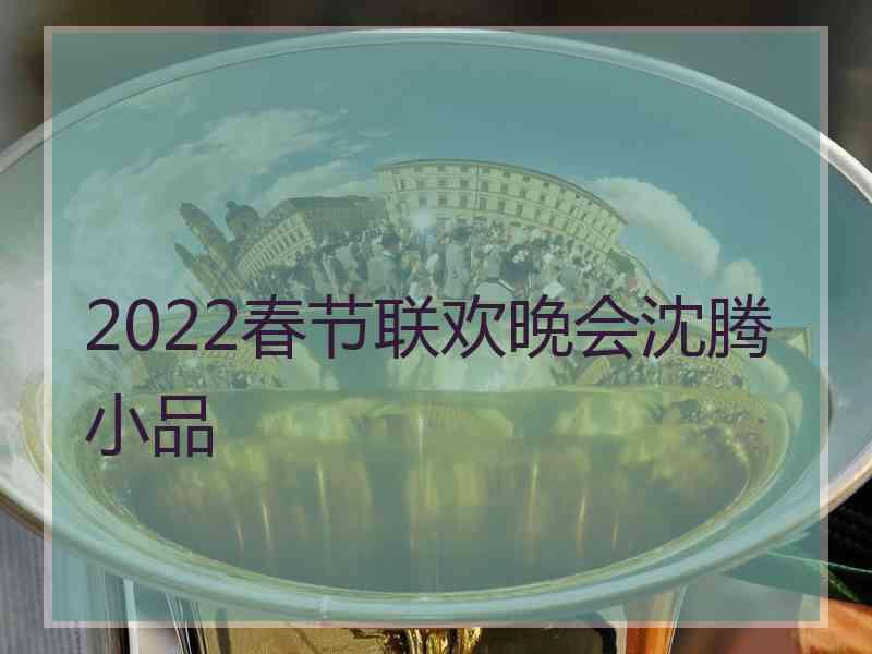 2022春节联欢晚会沈腾小品