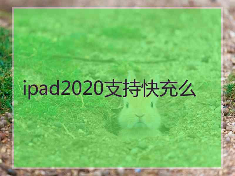 ipad2020支持快充么