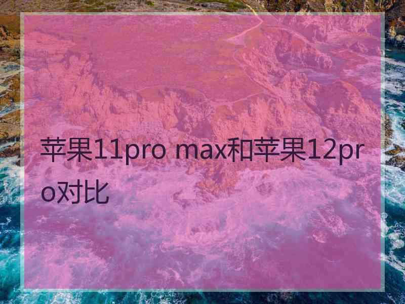 苹果11pro max和苹果12pro对比