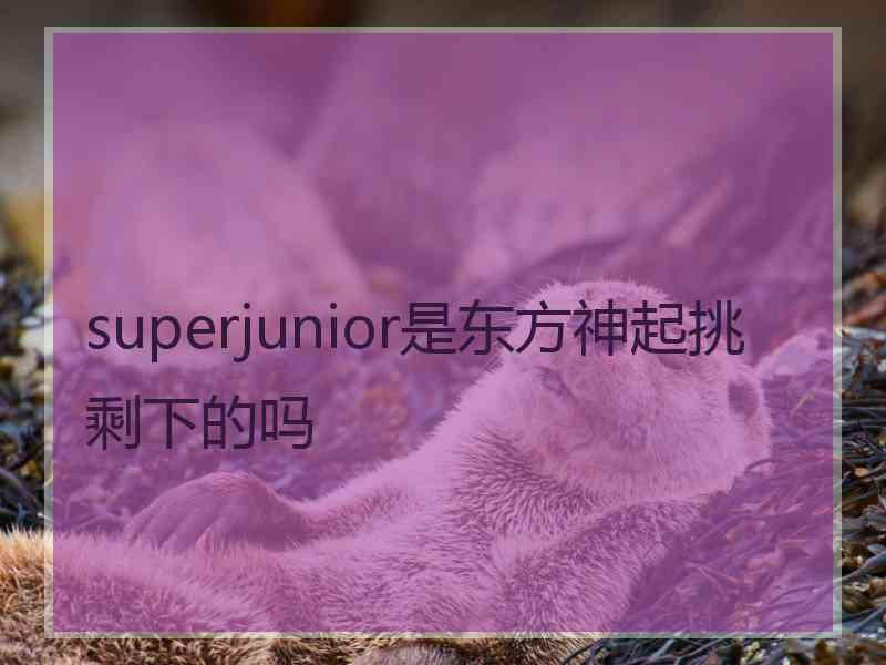 superjunior是东方神起挑剩下的吗