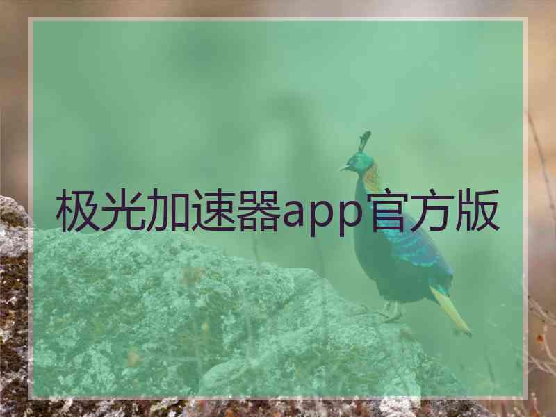 极光加速器app官方版