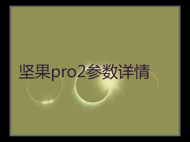 坚果pro2参数详情