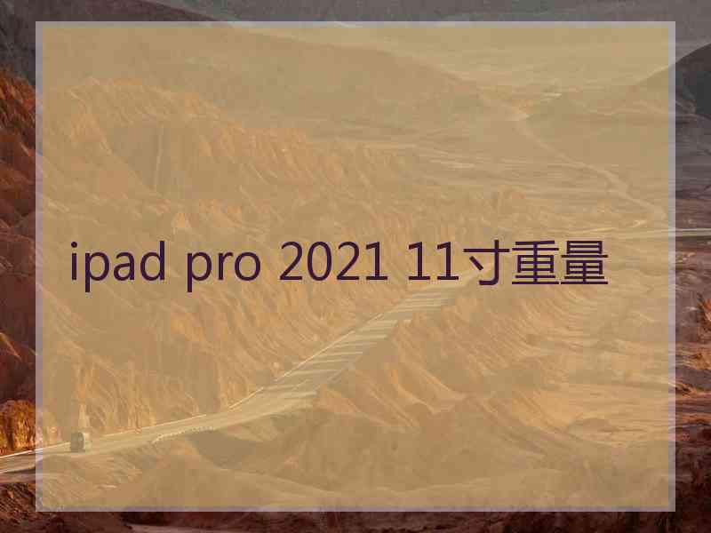 ipad pro 2021 11寸重量