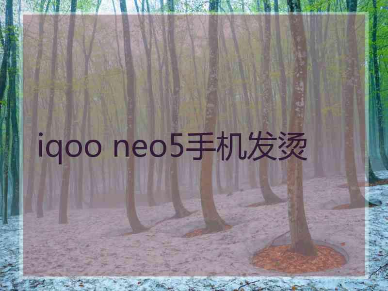 iqoo neo5手机发烫