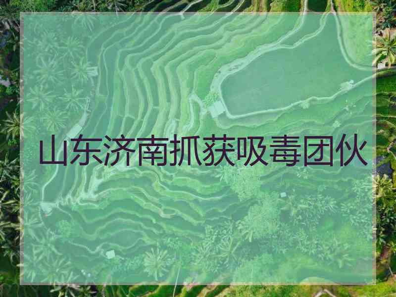 山东济南抓获吸毒团伙