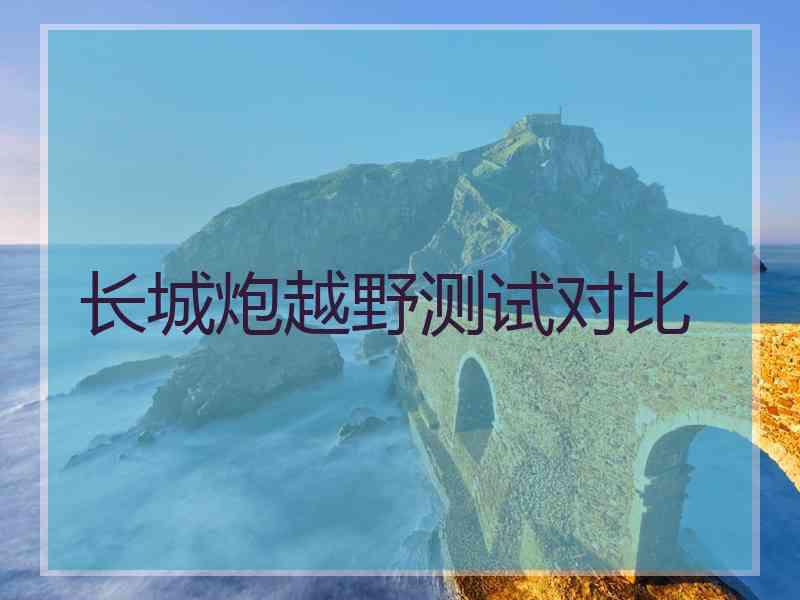 长城炮越野测试对比