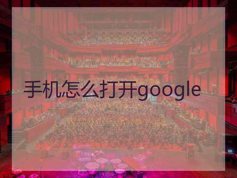 手机怎么打开google