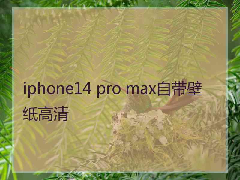 iphone14 pro max自带壁纸高清