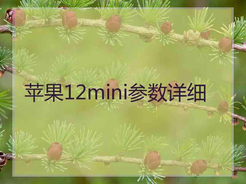 苹果12mini参数详细