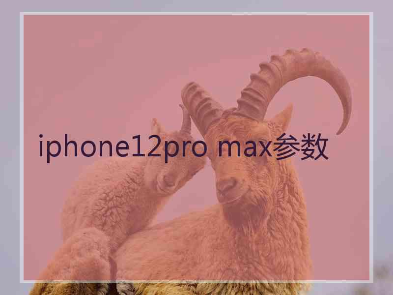 iphone12pro max参数