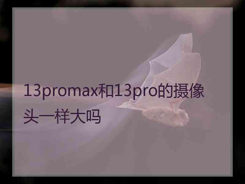 13promax和13pro的摄像头一样大吗