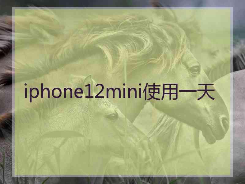 iphone12mini使用一天