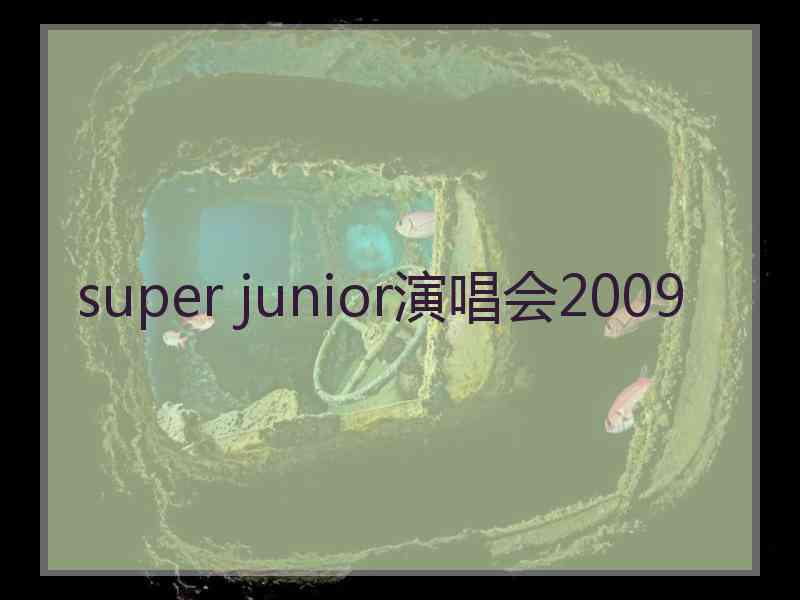 super junior演唱会2009