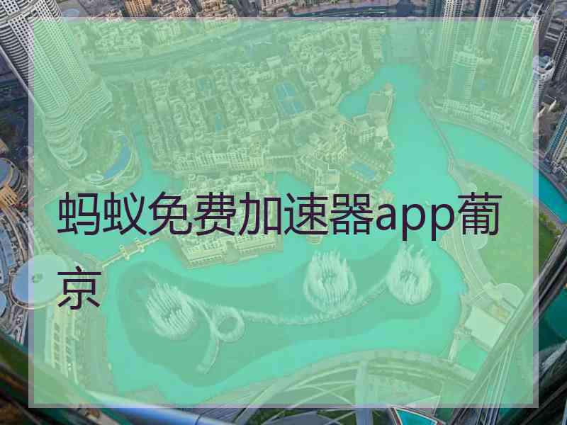 蚂蚁免费加速器app葡京