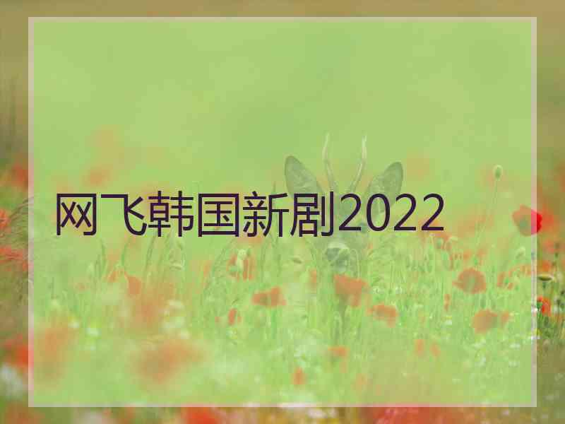 网飞韩国新剧2022