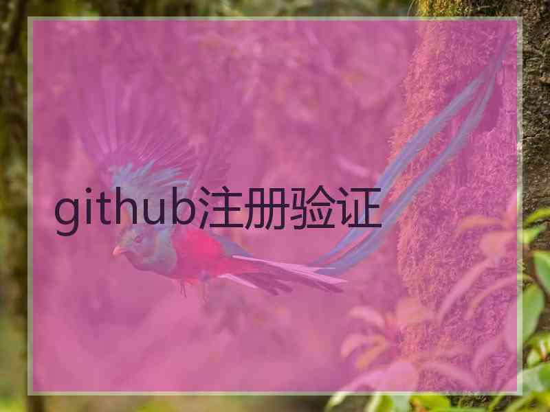 github注册验证