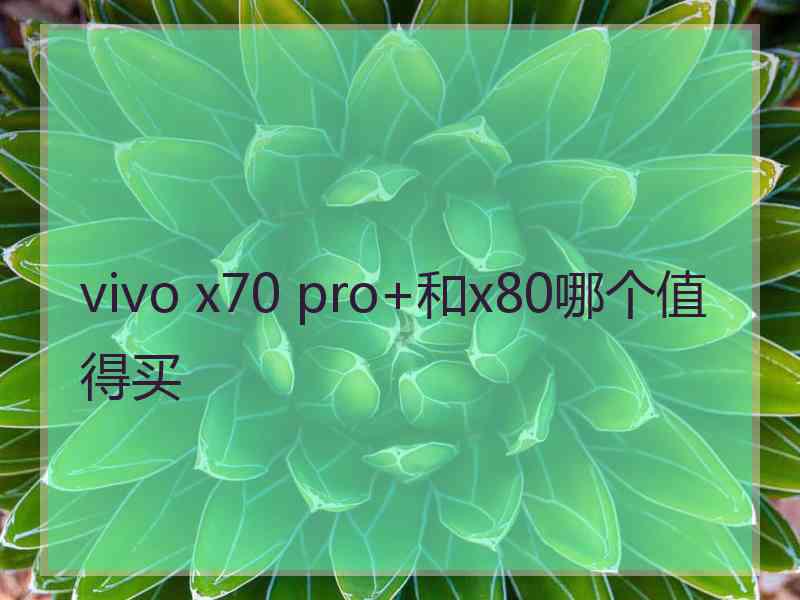 vivo x70 pro+和x80哪个值得买